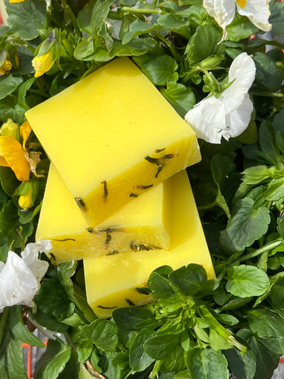 Birch + Lily Soap