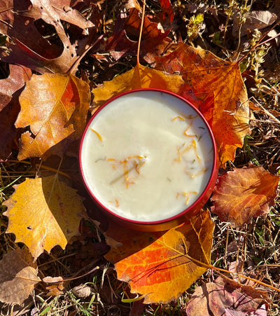 Maple Cranberry Bundle